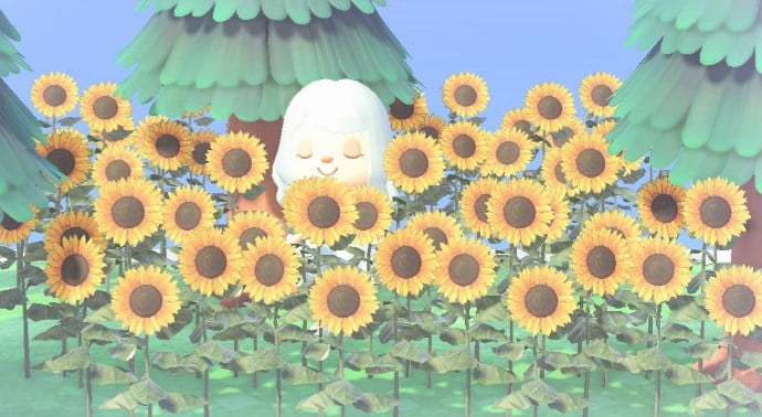 2 2